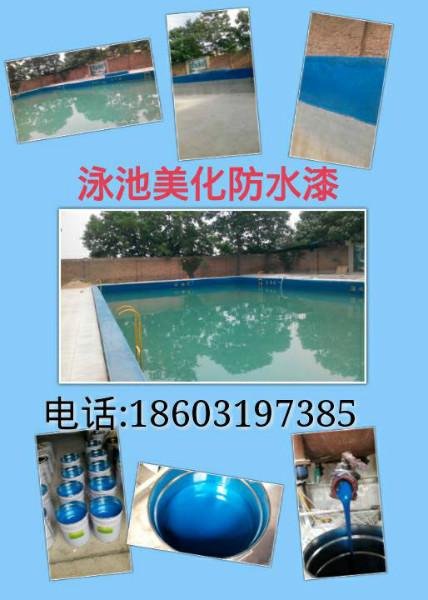 供應(yīng)傳世501泳池美化裝飾漆
