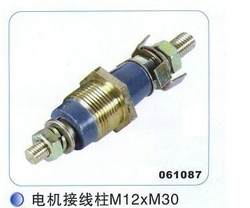 YB2电机接线柱 M12*30图片