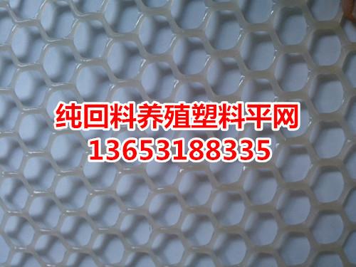 供應(yīng)塑料養(yǎng)雞網(wǎng)/養(yǎng)殖網(wǎng)廠家 塑料養(yǎng)殖網(wǎng)廠家