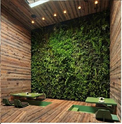 綠植墻圖片/綠植墻樣板圖 (3)