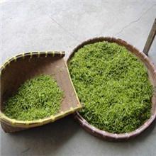 供應蘇州碧螺春批發(fā)價格_東山碧螺春批發(fā)價格_太湖碧螺春批發(fā)價格供貨商