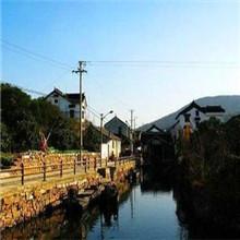 供應(yīng)蘇州東山碧螺春新茶制作_蘇州東山碧螺春新茶品牌_蘇州東山碧螺春報價