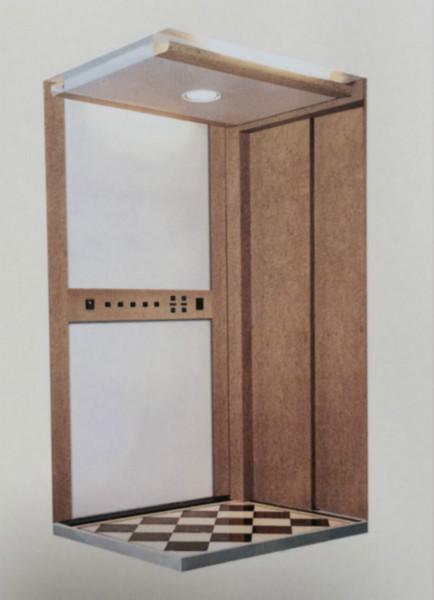 供應(yīng)別墅電梯，客梯，貨梯，雜物電梯