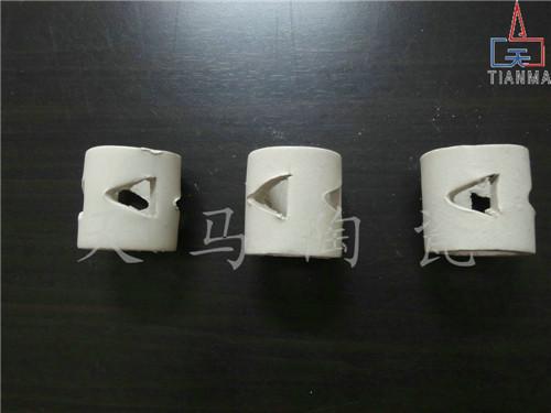 供應(yīng)陶瓷洗滌環(huán)填料*銷售 陶瓷洗滌環(huán)填料吸附原理