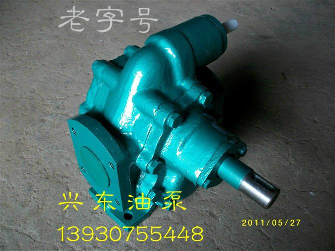 供應(yīng)直流齒輪泵220V齒輪泵 12方齒輪油泵興東油泵*老工藝