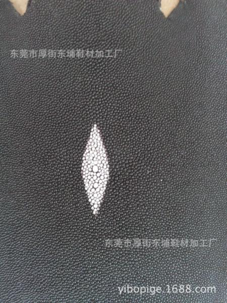 供應(yīng)魔鬼魚皮，黑色魔鬼魚皮價(jià)格，魔鬼魚皮生產(chǎn)廠家，魔鬼魚皮報(bào)價(jià)