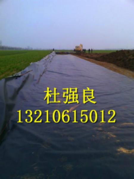供應(yīng)全新料藕池*膜_環(huán)保防滲*土工膜_黑色hdpe地膜