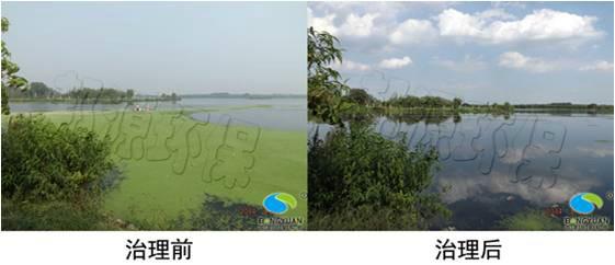 供應邦源環(huán)保浮萍治理技術值得信賴應