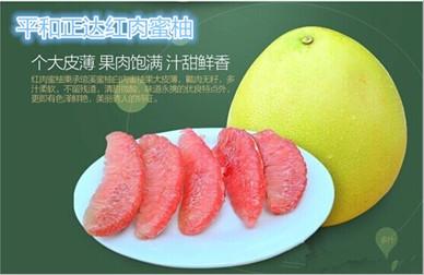 供應(yīng)紅肉蜜柚苗紅心蜜柚苗到原產(chǎn)地購買是您明智的選擇