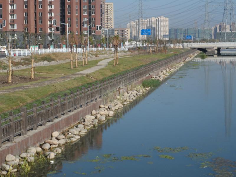 上海鵝卵石價格
