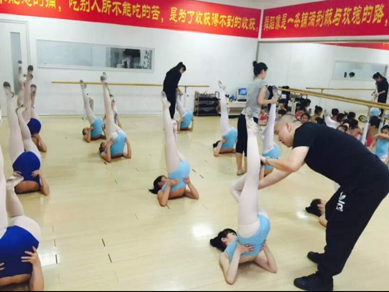 供應(yīng)阿昆舞蹈專業(yè)舞蹈教師培訓(xùn)