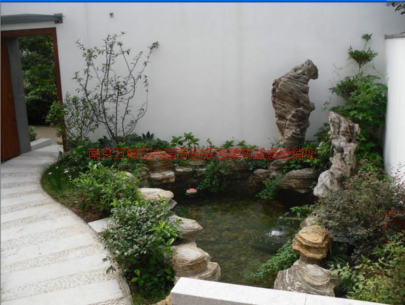 供應(yīng)假山魚池制作，南京假山魚池制作設(shè)計，假山魚池制作設(shè)計價格