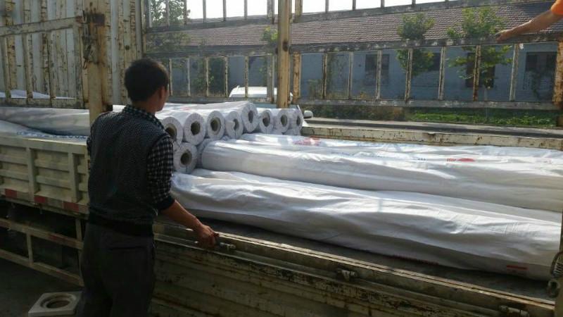 河北pvc防水卷材廠家 河北pvc防水卷材價(jià)格河北pvc防水卷