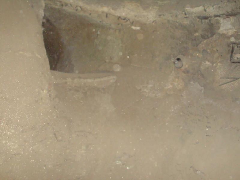 三利公司湖北圖片