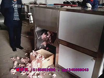 凍肉破碎機 山東 佳品大型凍肉破碎機