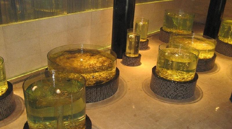 海鮮制冷圖片/海鮮制冷樣板圖 (3)