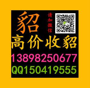 供应齐齐哈尔海宁厂家上门回收貂皮衣