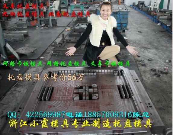 供應(yīng)哪里有塑膠托盤模具