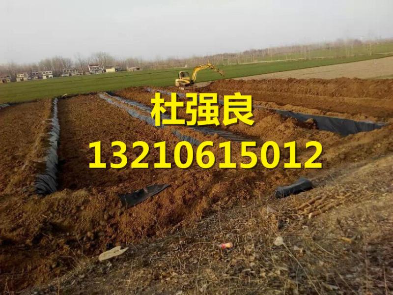 供應(yīng)0.35土工膜是什么價 水產(chǎn)養(yǎng)殖膜/地膜什么價_*的價格_*品質(zhì)
