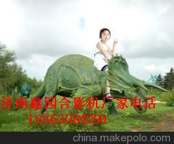 供應(yīng)衡水全景快樂拍多少錢/鑫園廠家批發(fā)