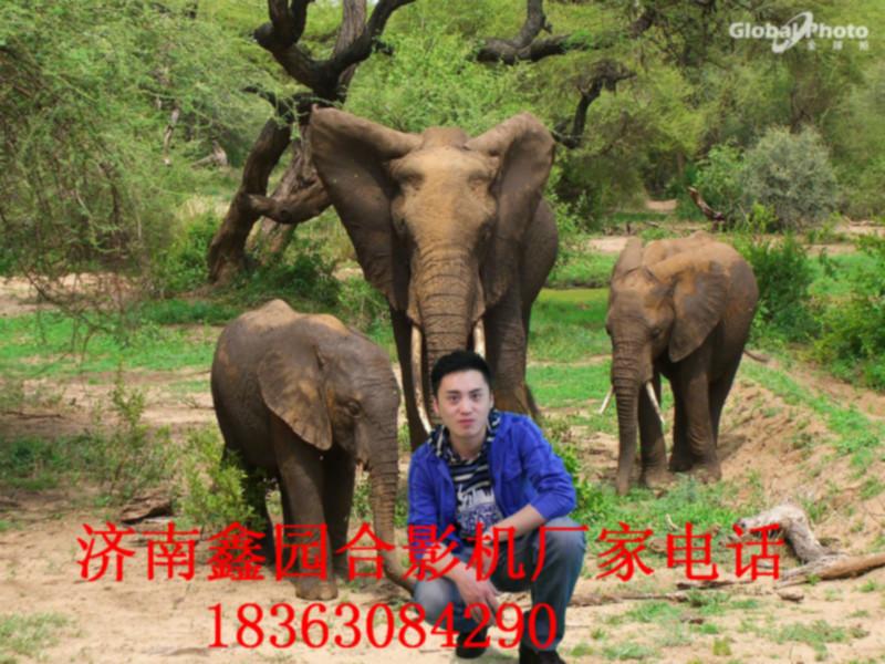 供應鑫園*攝影機廠家熱銷