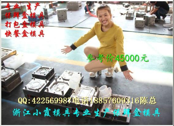 供應(yīng)750ml保鮮盒模具生產(chǎn)