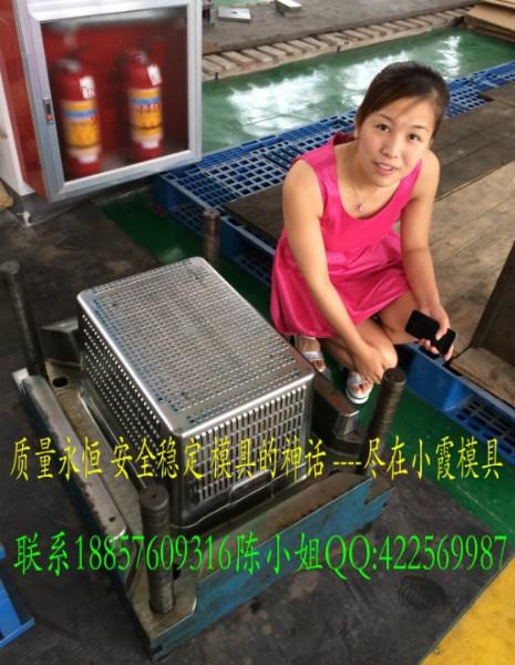 注塑模具圖片/注塑模具樣板圖 (3)