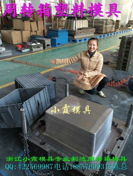 供應(yīng)大型啤酒箱子模具