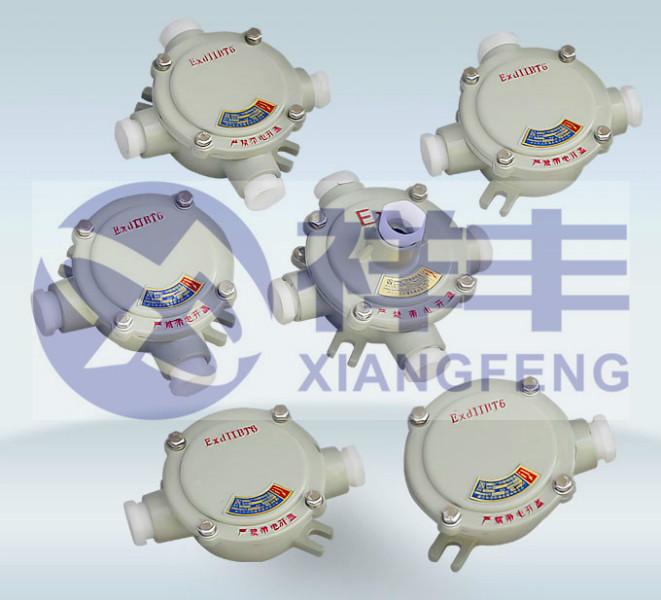 BJX51-36/20防爆接線箱圖片