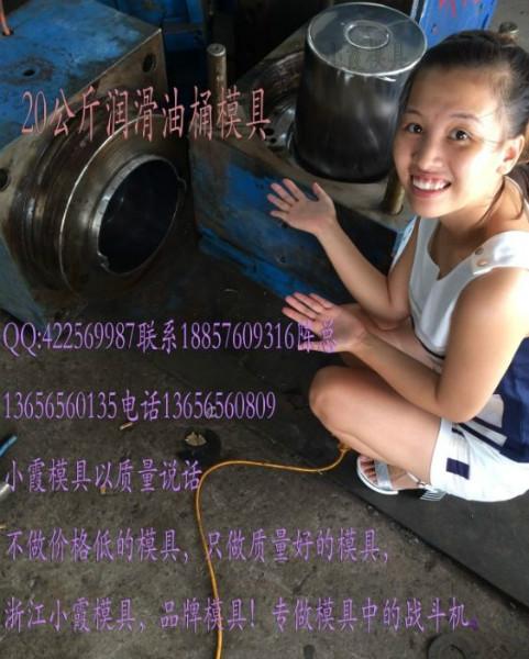供應(yīng)浙江10L化工桶模具
