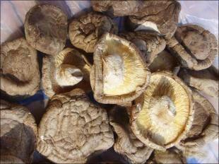 供應(yīng)香菇熱泵烘干機(jī)金凱熱泵烘干機(jī) 香菇熱泵烘干機(jī)