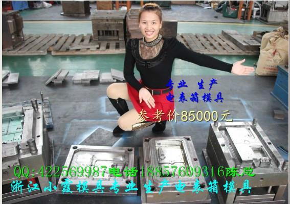供應(yīng)PC塑料電表箱模具制造生產(chǎn)