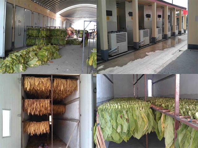 煙葉烘干機(jī)圖片