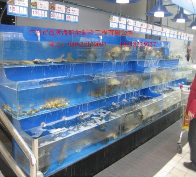 廣州海鮮池制冷工程/廣州東坦海鮮池制冷公司/廣州海鮮池制冷哪家好
