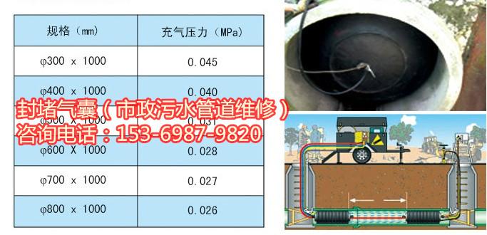 堵塞管道用气囊图片