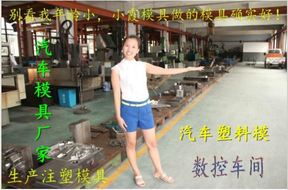 塑膠模具圖片/塑膠模具樣板圖 (2)