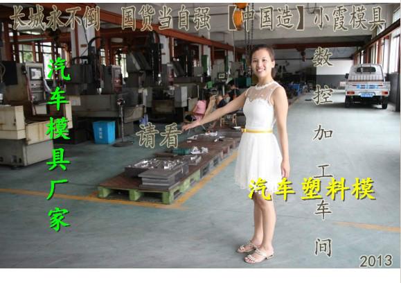 供應黃巖注射模具汽車車燈模具