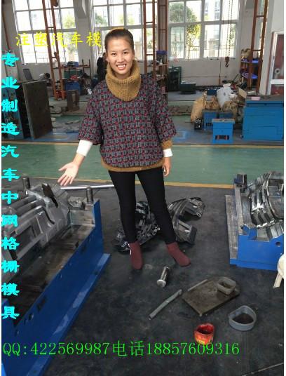 供應(yīng)臺州塑料奇駿車注塑模具車燈模具