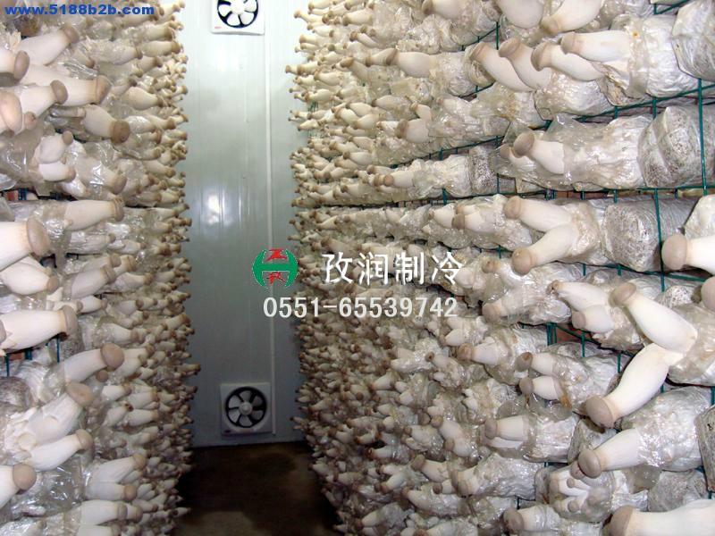 供應(yīng)菌類冷庫(kù)蘑菇大棚保溫設(shè)備制冷設(shè)備-香菇冷庫(kù)保鮮