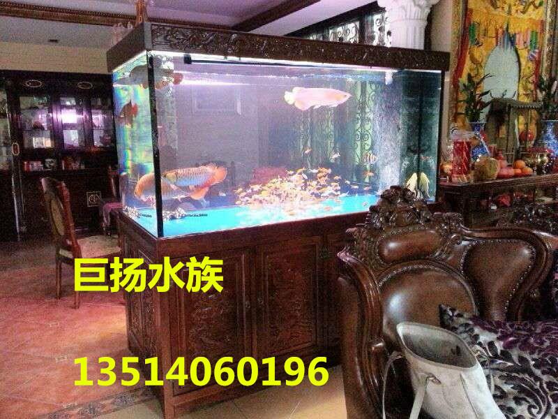 福州市仓山区惠金巨扬水族店