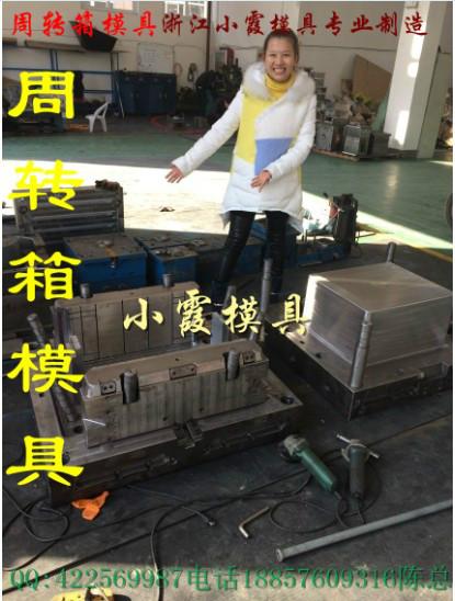 供應(yīng)模具公司儲(chǔ)物箱注射模具桂圓筐模具