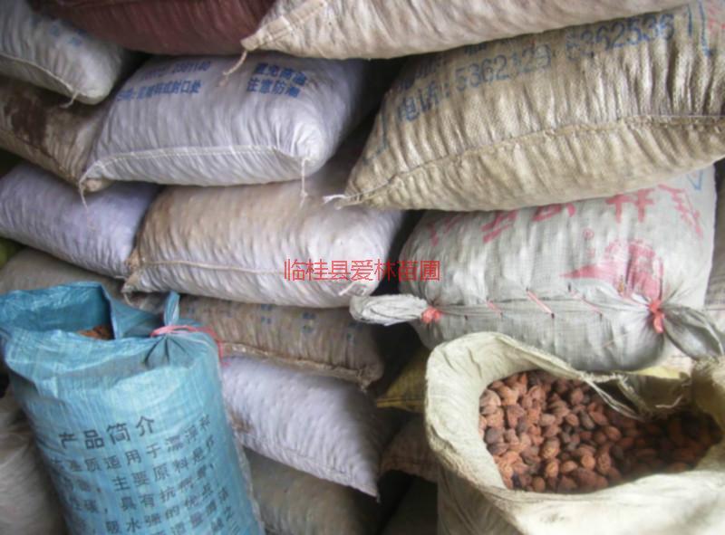 毛桃芽苗批發(fā)報(bào)價(jià)|桂林毛桃芽苗種植基地大量供應(yīng)|優(yōu)質(zhì)毛桃芽苗批發(fā)價(jià)格