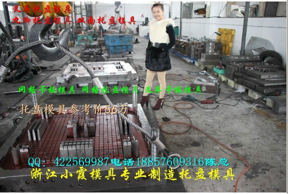 供應小型12x1米雙面塑膠棧板模具