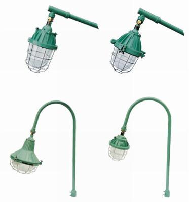 BPD化工廠防爆平臺燈圖片