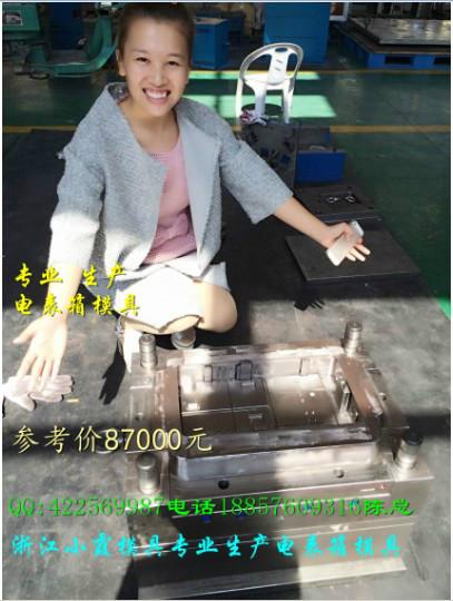 供應(yīng)塑膠電表箱模具制造加工
