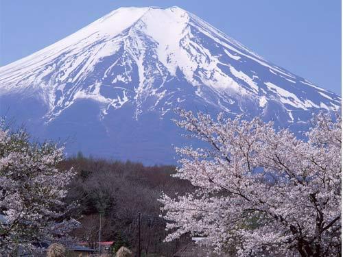 供应日本超值6日游