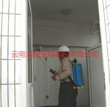 滅蟑螂圖片/滅蟑螂樣板圖 (2)