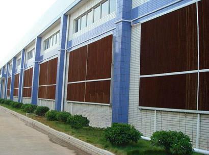 供應(yīng)青年雞