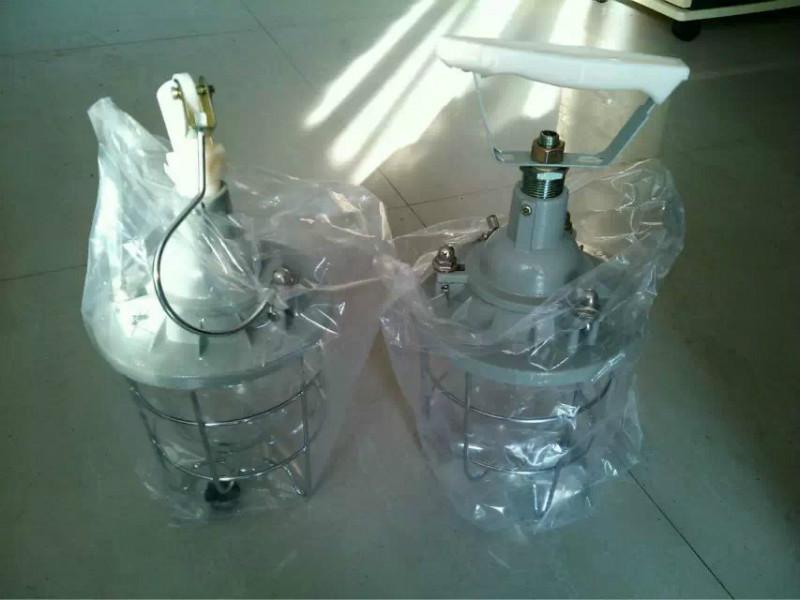 供應(yīng)BSX-60/100防爆行燈