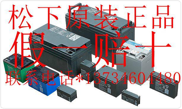 松下12V-24AH免维护蓄电池图片